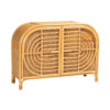 rattan 2 door cabinet, wholesale