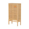 rattan storage cabinet, wholesale