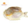 Mother of Pearl Caviar Dish Fish Shaped, wholesale