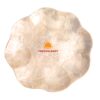 Mother of Pearl Caviar Serving Plate, wholesale