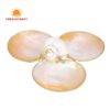 Mother of Pearl Seashell Dish, wholesale