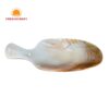 Natural Pearl Shell Dish, wholesale