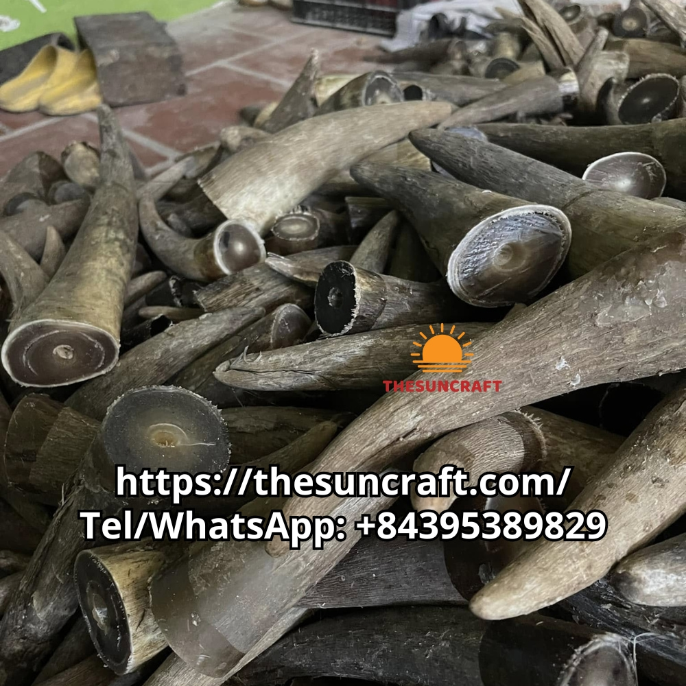 shoe horn bulk wholesale