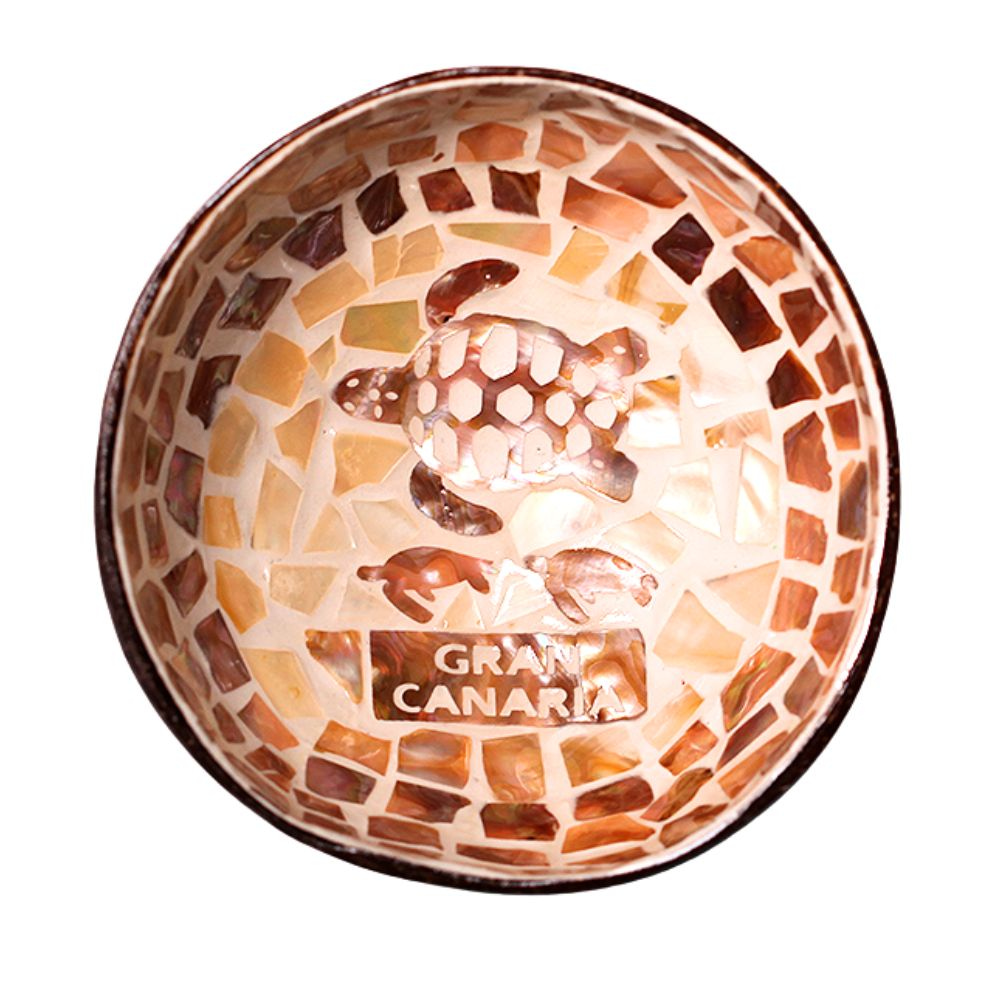 Boho Mother Of Pearl Turtle Coconut Bowl
