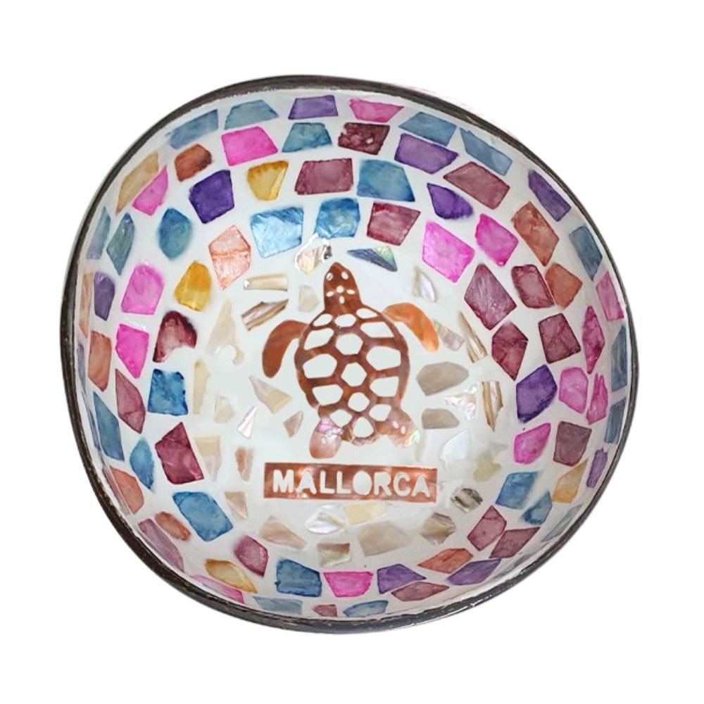 Colorful Mother Of Pearl Turtle Coconut Bowl