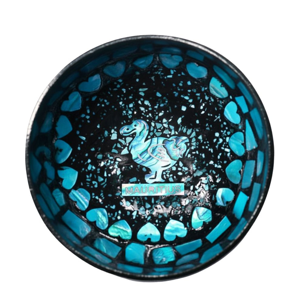 Dodo Bird Coconut Bowl