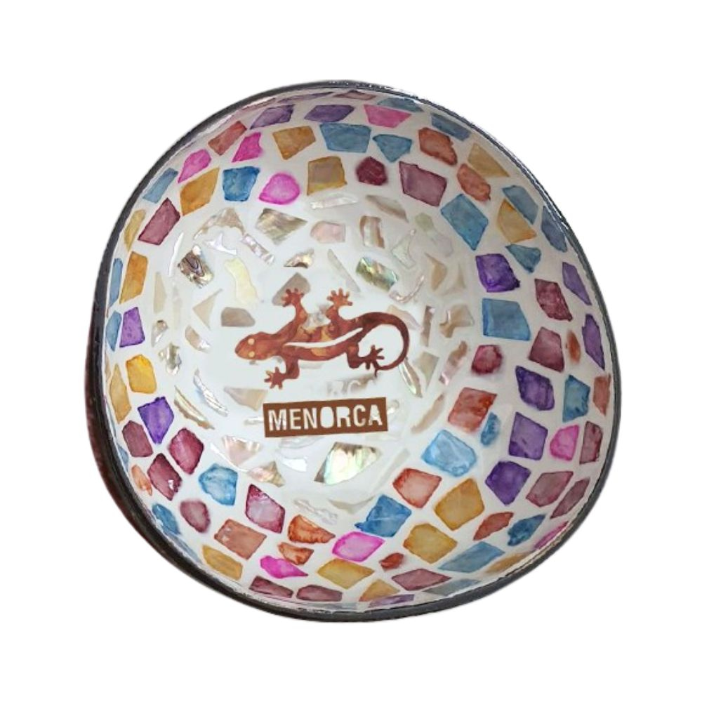 Salamander Coconut Bowl With Seashell Inlaid