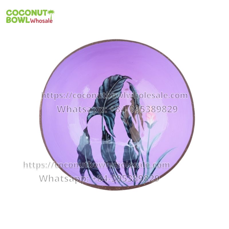 Colorful Painted Coconut Bowls (TSCB-0079)