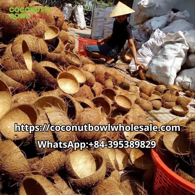 coconut bowl, coconut shell bowl, wholesale