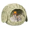 Grass House For Bunny (TSPH-0013)