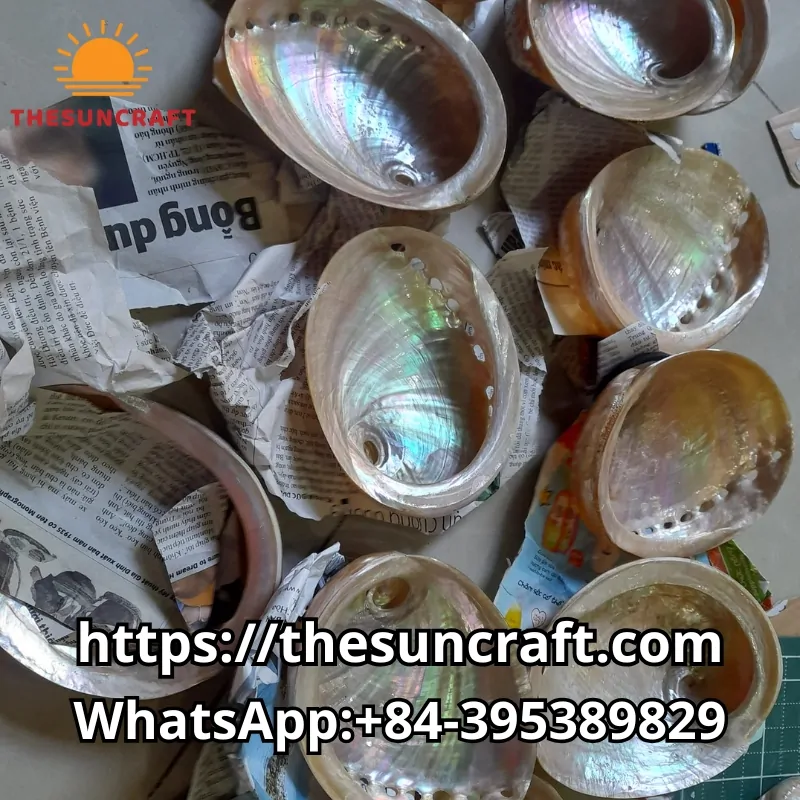 wholesale Natural Mother of Pearl Dish