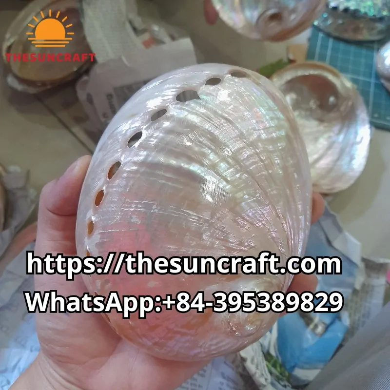 wholesale Natural Mother of Pearl Dish