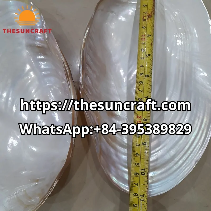 wholesale Natural Mother of Pearl Dish
