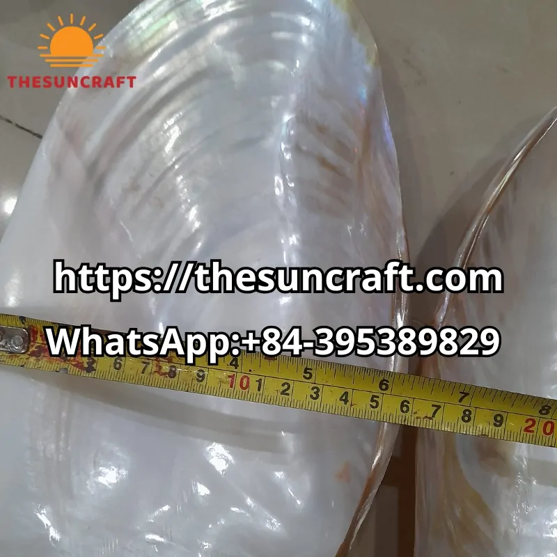 wholesale Natural Mother of Pearl Dish
